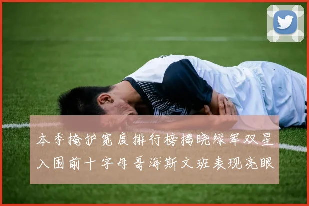 本季掩护宽度排行榜揭晓绿军双星入围前十字母哥海斯文班表现亮眼