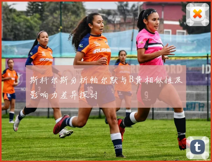 斯科尔斯分析帕尔默与B费相似性及影响力差异探讨