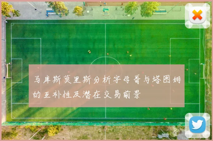 马库斯莫里斯分析字母哥与塔图姆的互补性及潜在交易前景